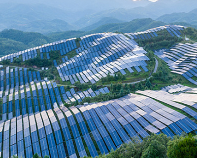 Harmony of contrasts